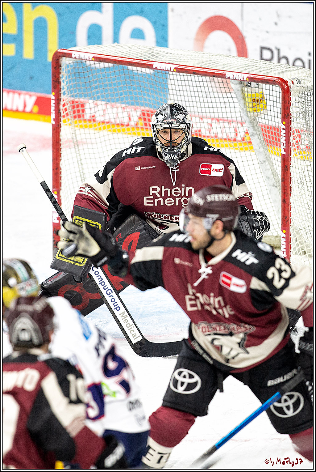 PENNY DEL;  Koelner Haie - Eisbaeren Berlin; Koeln, 19.02.2021